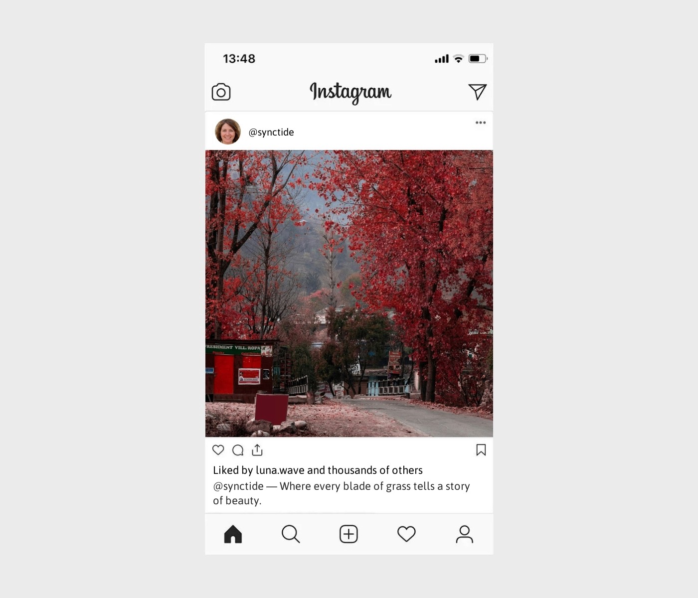 landscaping-captions-for-instagram