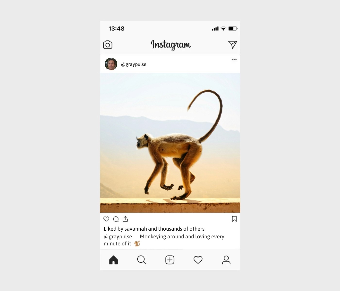 monkey-captions-for-instagram
