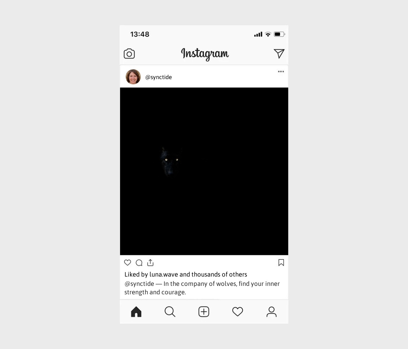 wolf-caption-for-instagram