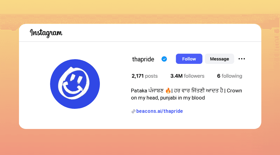 Attitude Instagram Bios for Punjabi Girls design