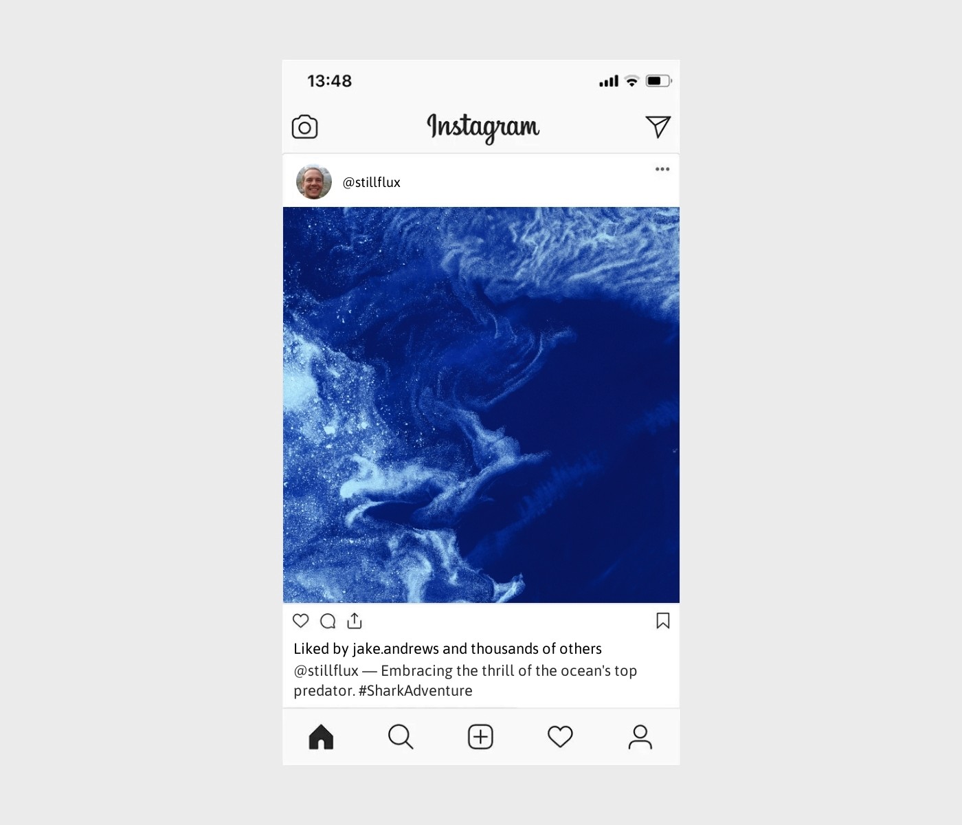 shark-captions-for-instagram
