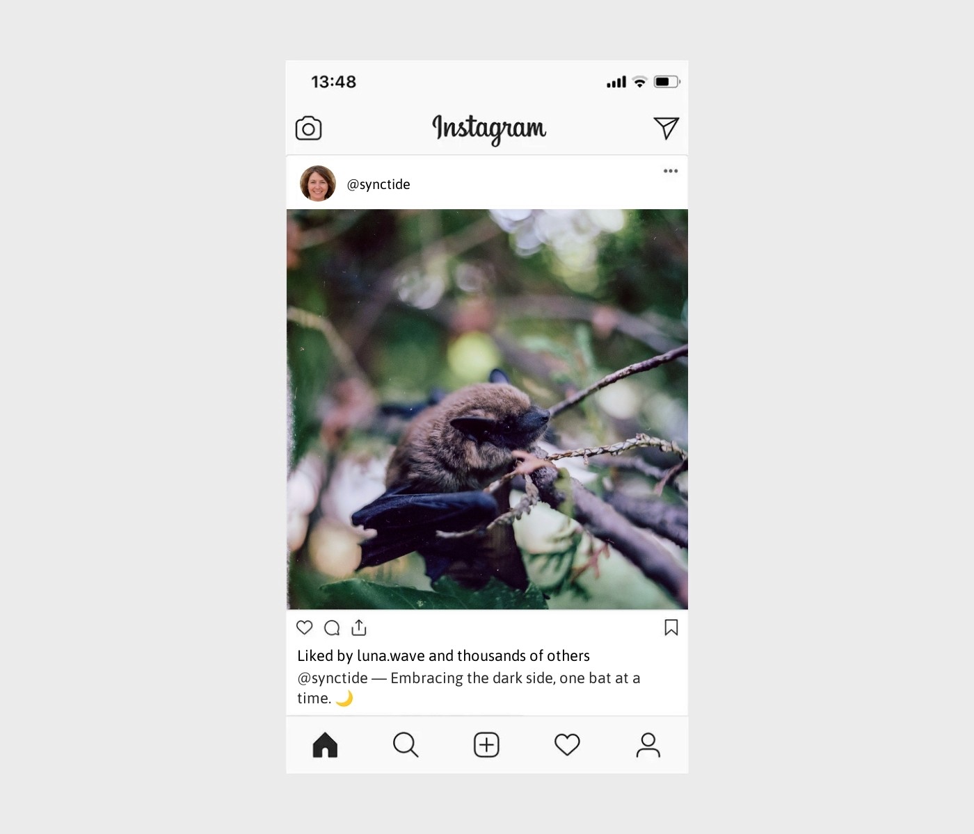 bat-captions-for-instagram